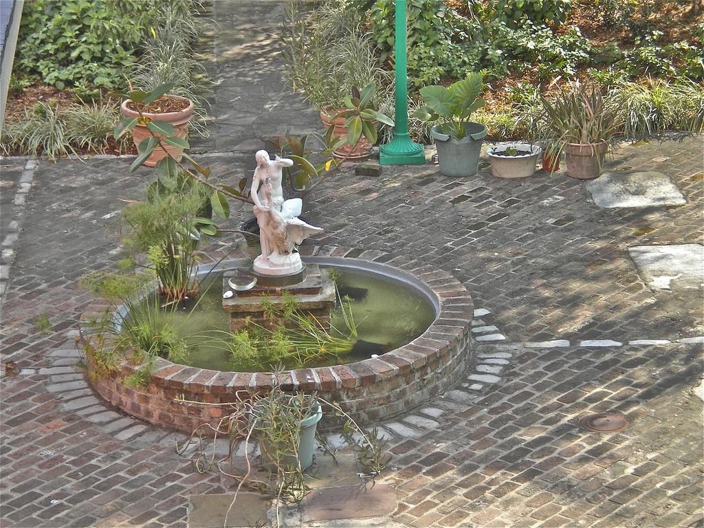 La Belle Esplanade Bed and Breakfast New Orleans Eksteriør billede