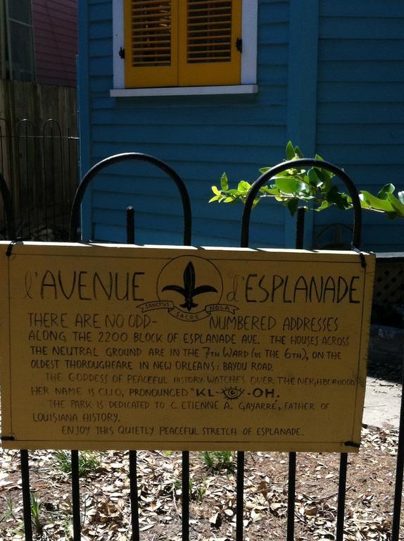 La Belle Esplanade Bed and Breakfast New Orleans Eksteriør billede
